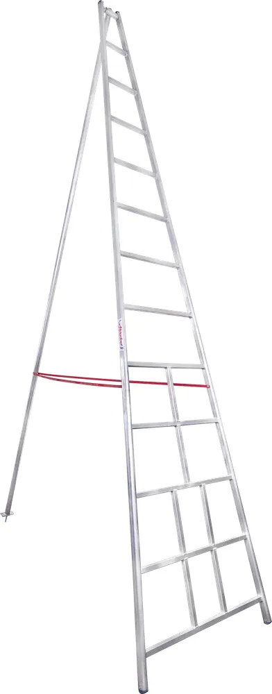 Orchard Ladder