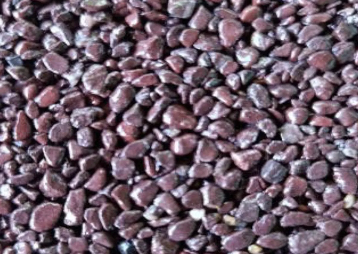 STONE CARPET — KESTANE 2-4 mm
