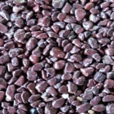 KESTANE 2-4 mm