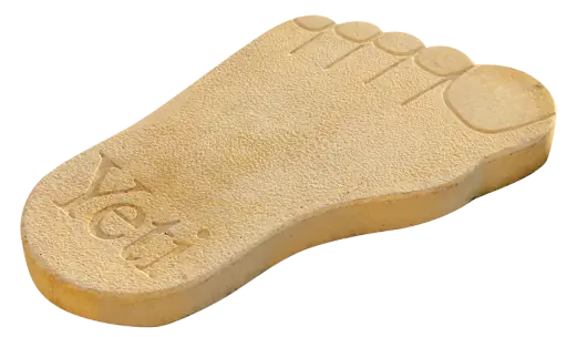 Koca Ayak