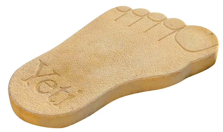 Koca Ayak