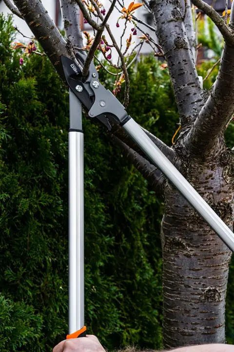 Anvil lopper 765 mm, range up to 40 mm, gear increasing the pressure by 60%