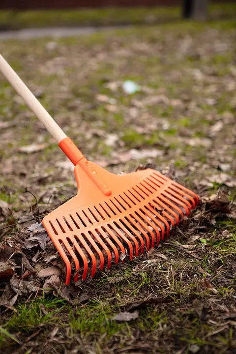 Orta boy yaprak tırmığı, plastik