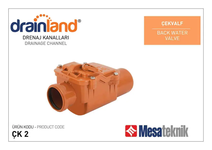 Check Valves