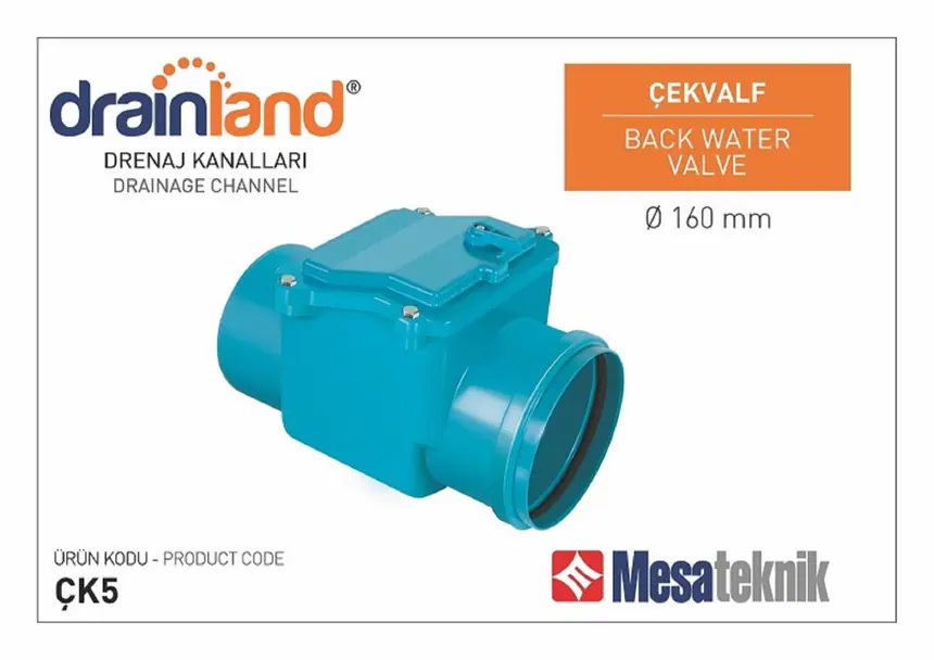 Check Valves
