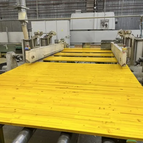 MyWood M1 3-Ply Shuttering Panel